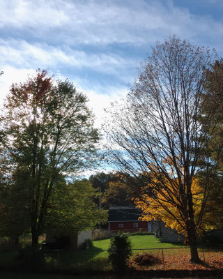 Fall Colors-Davisburg,MI