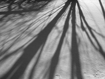 Late afternoon shadows in monochrome