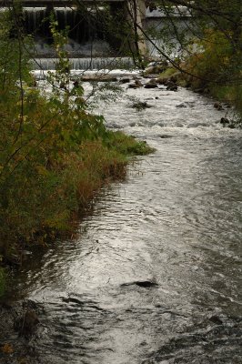 Parshallville Creek