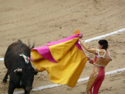 BOG164.jpg