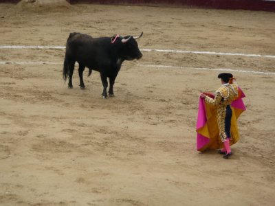 BOG166.jpg