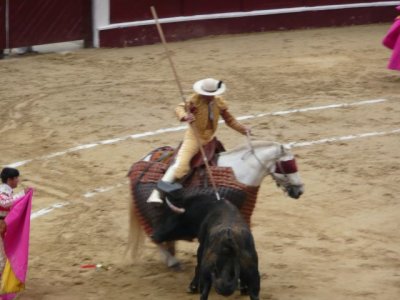 BOG171.jpg