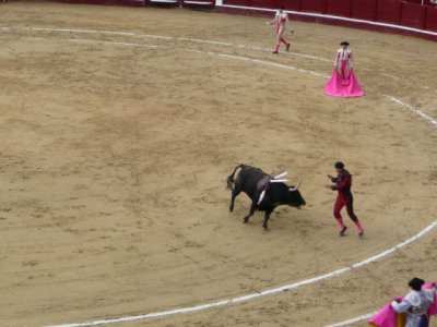 BOG177.jpg