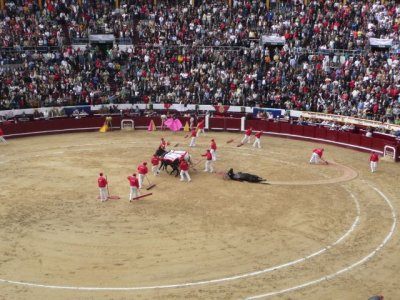 BOG190.jpg