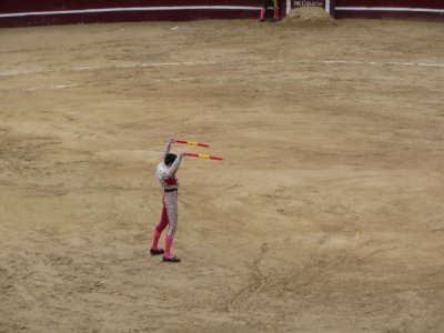 BOG191.jpg