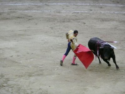 BOG238.jpg