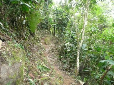CiudadPerdida042.jpg