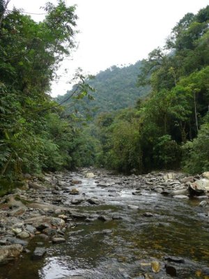CiudadPerdida050.jpg