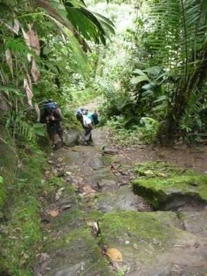 CiudadPerdida053.jpg