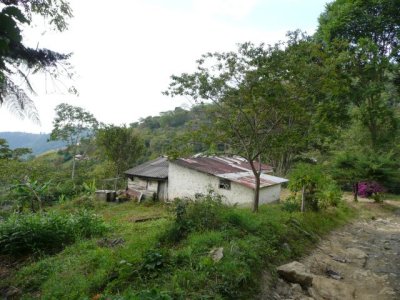 CiudadPerdida162.jpg