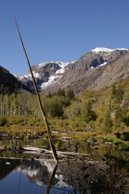 Beaver pond near Lundy Lake.jpg