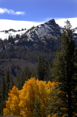 Sonora Pass.jpg