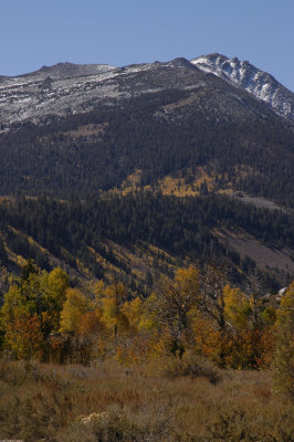 Transition to mountains.jpg