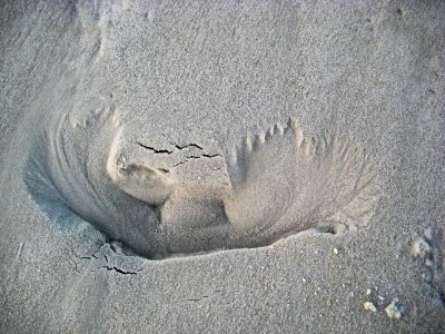 Sand-Waves2.jpg