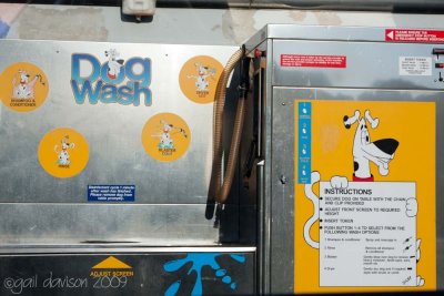 Dog Wash