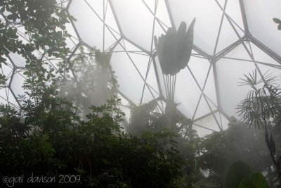 Eden Project