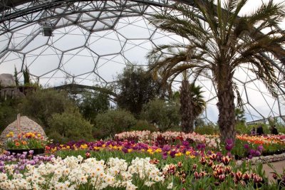 Eden Project