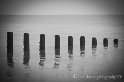 110101-Groynes