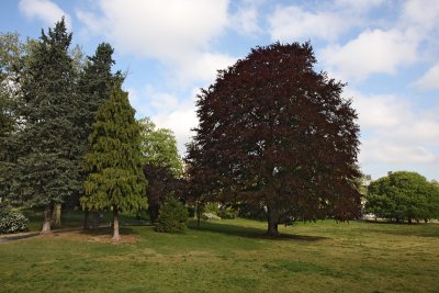 Parc Montsouris