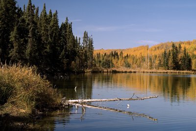 P1030854pbase.jpg