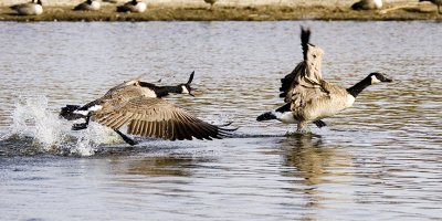 IMG_4980pbase.jpg