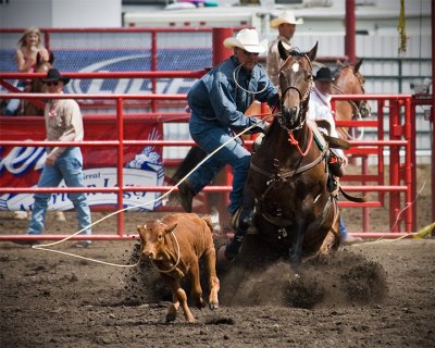 Calf Roping