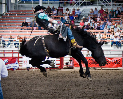 Saddle Bronc Riding