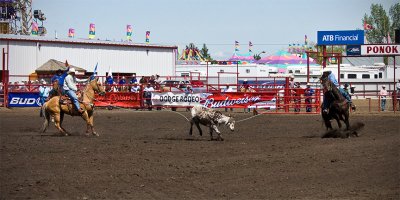 Team Roping