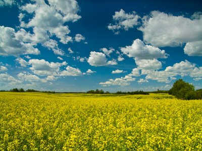 Around Central Alberta