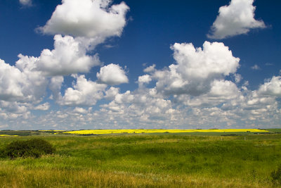 The Prairie's of Alberta