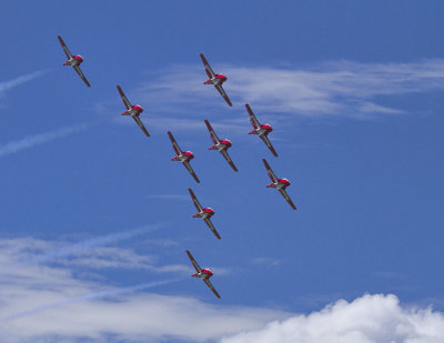 Canadian Forces Snowbirds