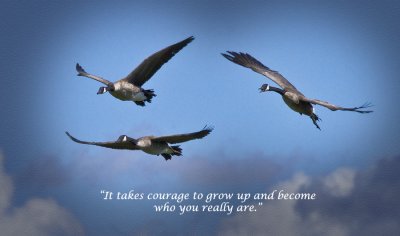 Courage to Grow