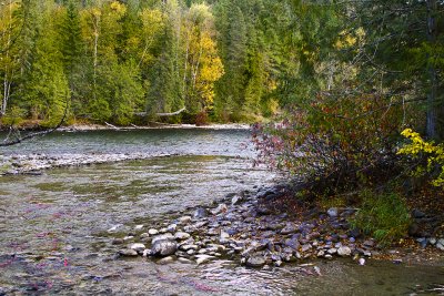 Feeder Streams along Adam's River