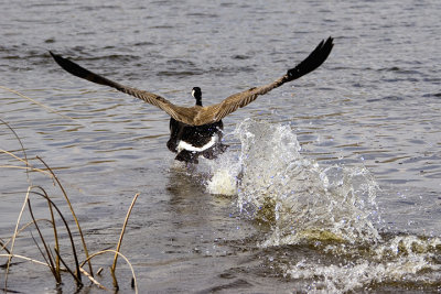 Lift Off In Six Steps