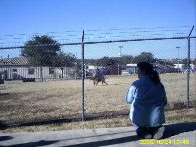 Lackland5