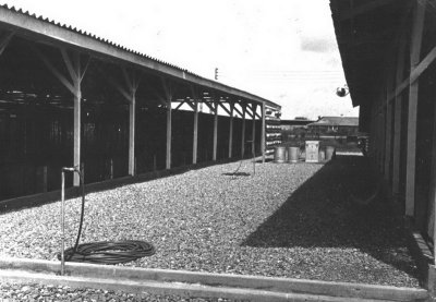 Pershing Field Kennels-1