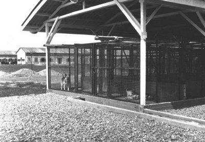 Pershing Field Kennels-4