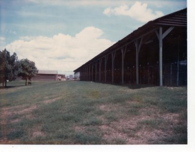1968 South to kennel office
