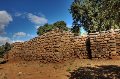 072-Tel Dan.JPG
