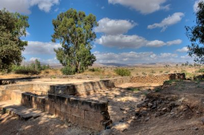 077-Tel Dan.JPG