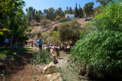 169-Harod Spring.JPG