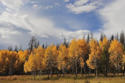 Aspen_Grand_Lake_Entrance1.jpg