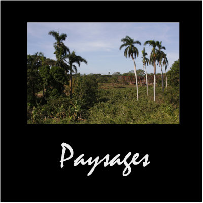 Paysages / Landscapes