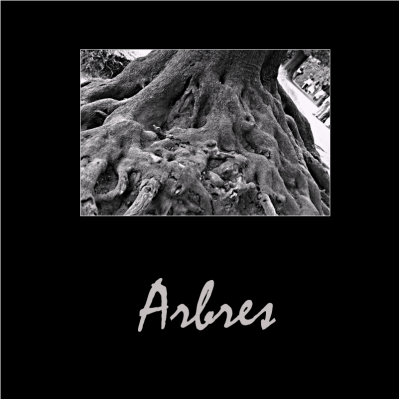 Arbres / Trees