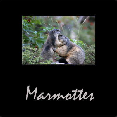marmottes.jpg
