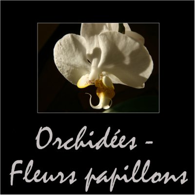 Orchides / Orchids