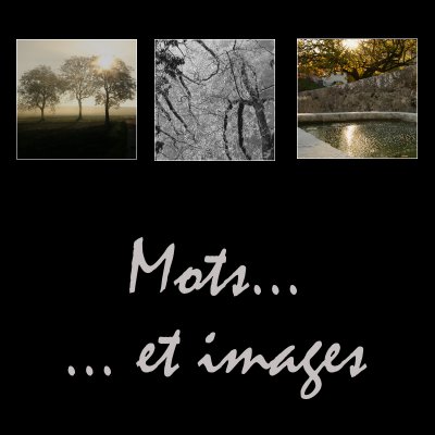 Mots et images - Pictures and words