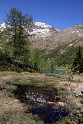 En montant vers Alp Grm