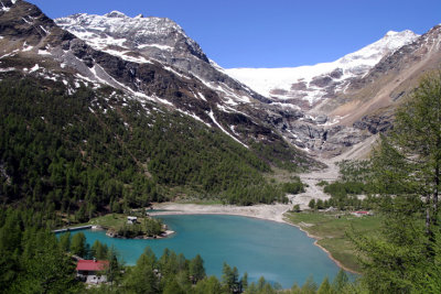 Alp Grm