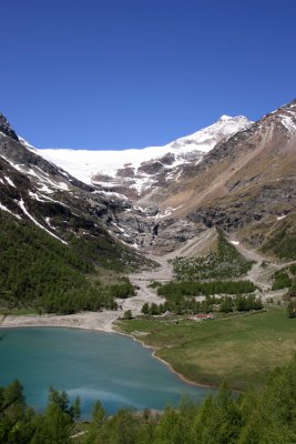 Alp Grm